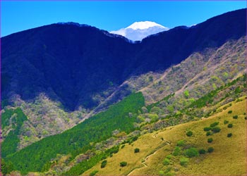 富士山のぞく