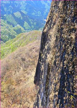 トモ岩望む