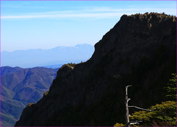 御座山望む