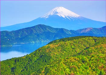 大観山富士展望