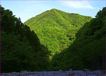 板小屋沢から権現山