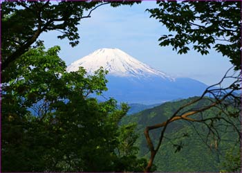 富士山展望