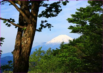 富士山望む