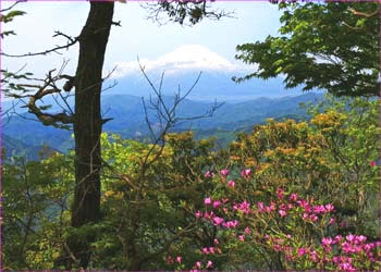 富士山展望