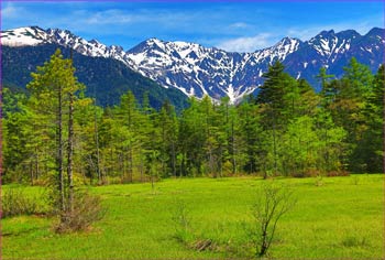 田代湿地から穂高