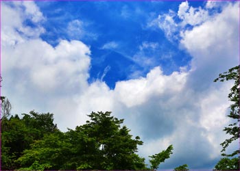 梅雨の晴れ間