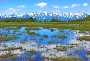 田代山から会津駒ヶ岳