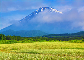 須山から富士山