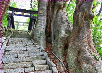 諏訪神社