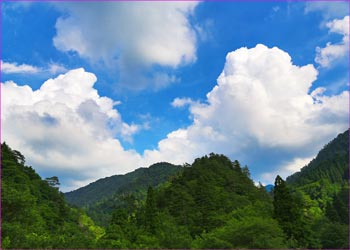 真木渓谷夏雲