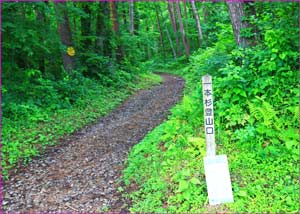 一本杉登山口