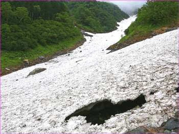 大樺沢雪渓