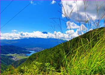 富士見の昼餉