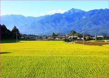 小淵沢秋景