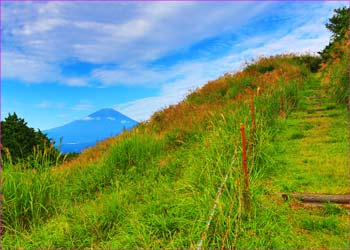 大野山初秋富士