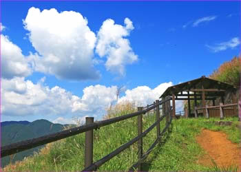 大野山展望所