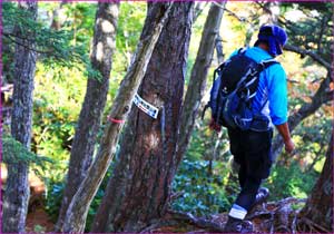 出合った登山者