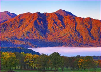 笹ヶ峰秋の朝