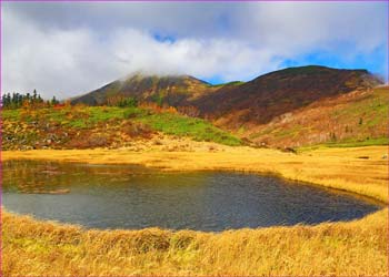 天狗の庭去秋