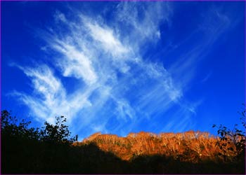 見上げれば巻雲が