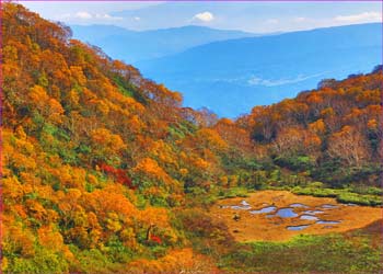 長助池秋景