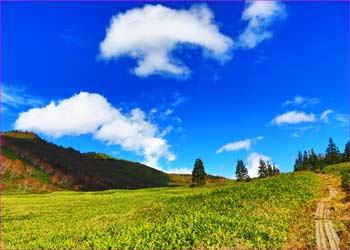 黒沢池湿原雲行く