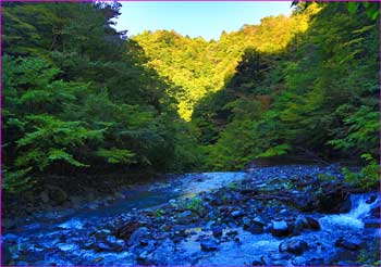 用木沢