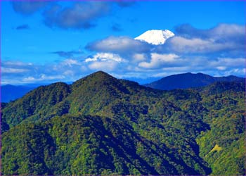 白き富士展望