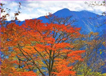 紅葉の大室山