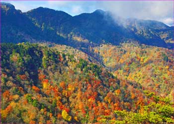 袈裟丸山秋景