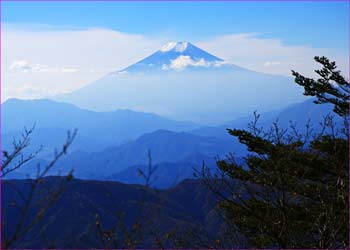 三頭の富士山