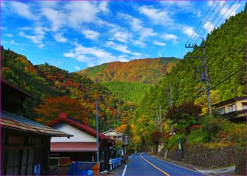 檜原村有情