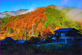 晩秋の道志みち