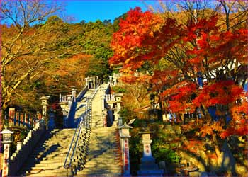 大山阿夫利神社