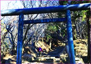 神社鳥居