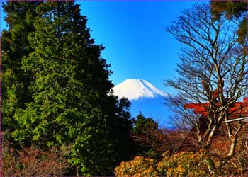 大山から富士山