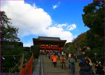 鶴岡八幡宮