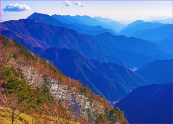 梅ヶ島山峡