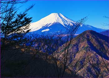 第一展望所から富士山