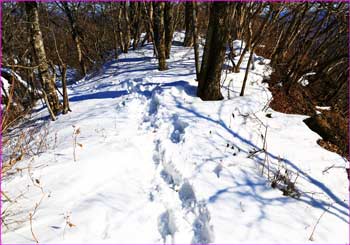 尾根雪道