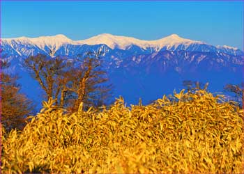 白峰三山展望