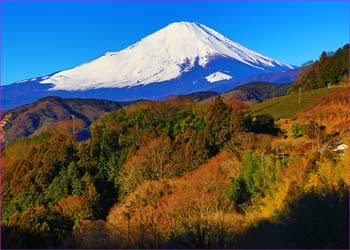 野背開戸から富士展望