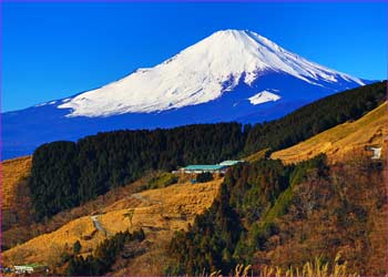 大野山新春富士