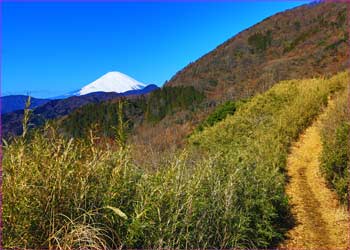 箱根路富士見つつ