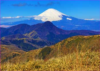 明神ヶ岳から富士望む