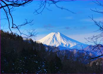 富士見える