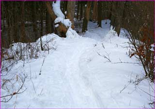 山頂付近の雪道