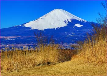 富士山展望