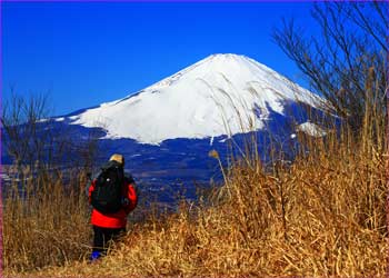 矢倉岳から富士山