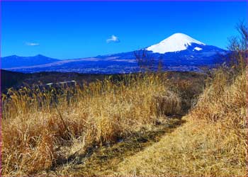 富士山眺めて